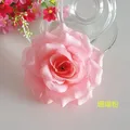 Coral powder