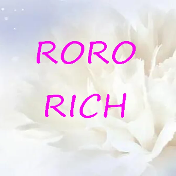 RoRo RICH Store