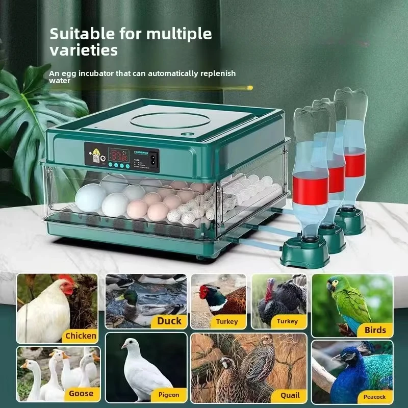 Smart Automatic Egg Incubator 1