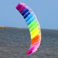 HOT SELL New 2.7m  Dual Line  Power Parafoil Kite Boarding / Surfing So Exciting and Good Flying 1