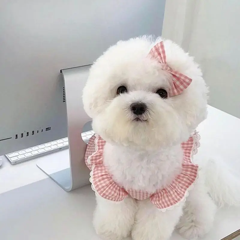 격자 무늬 강아지 드레스, 귀여운 공주 스커트, 작은 개 고양이용, 토끼 토끼 치와와 요크셔, 귀여운 애완 동물에 적합, 생일 파티