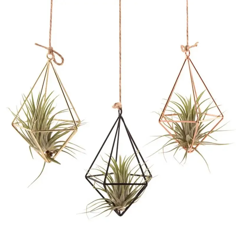 Elegant Wall-Mounted Macrame Plant Hanger for Indoor & Outdoor Décor