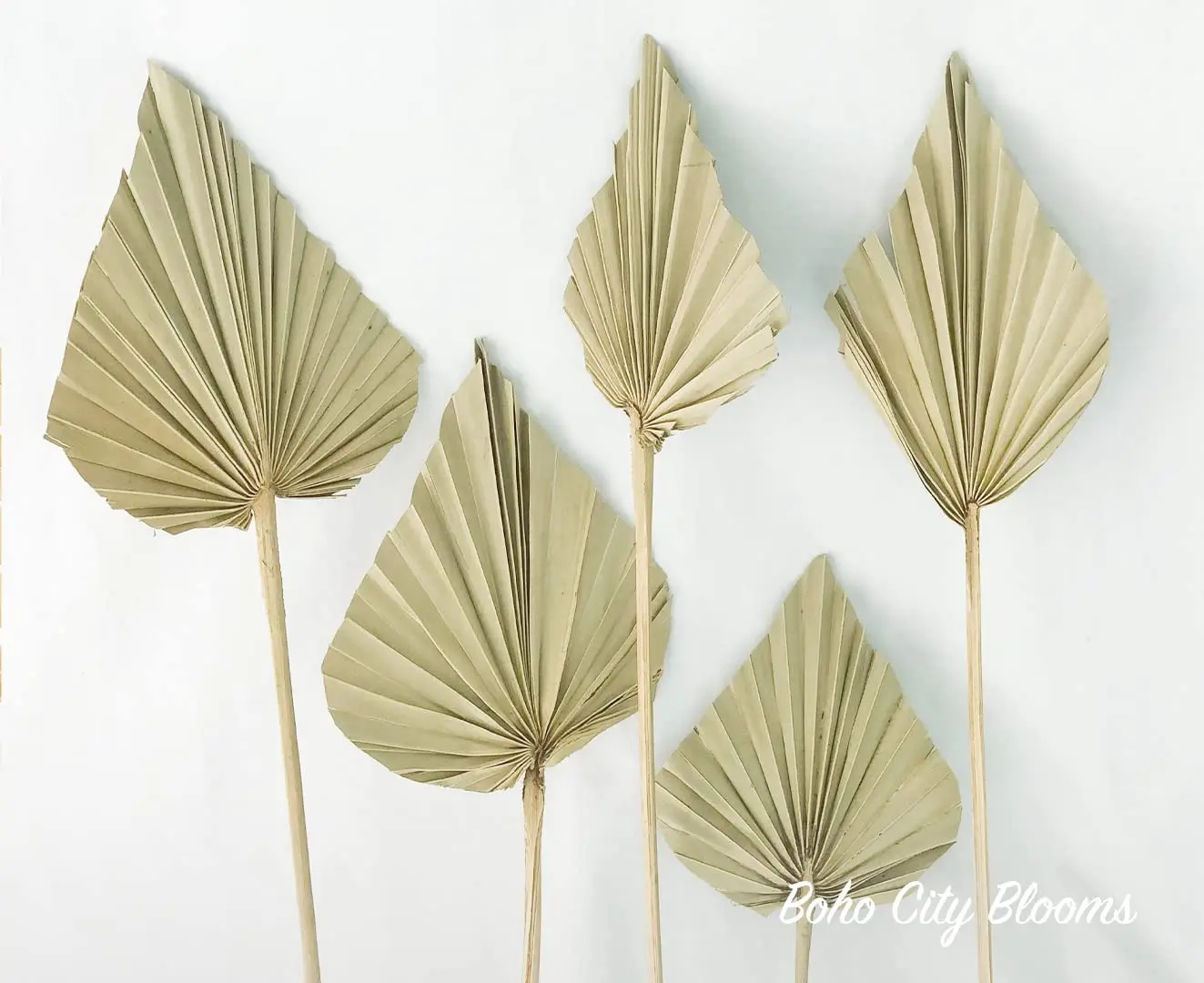 

Boho Dried Palm Spears | Bohemian Dried Palm Leaves Decor for Home Walls, Diy Weddings Bouquets Interior Design Dried Flowers