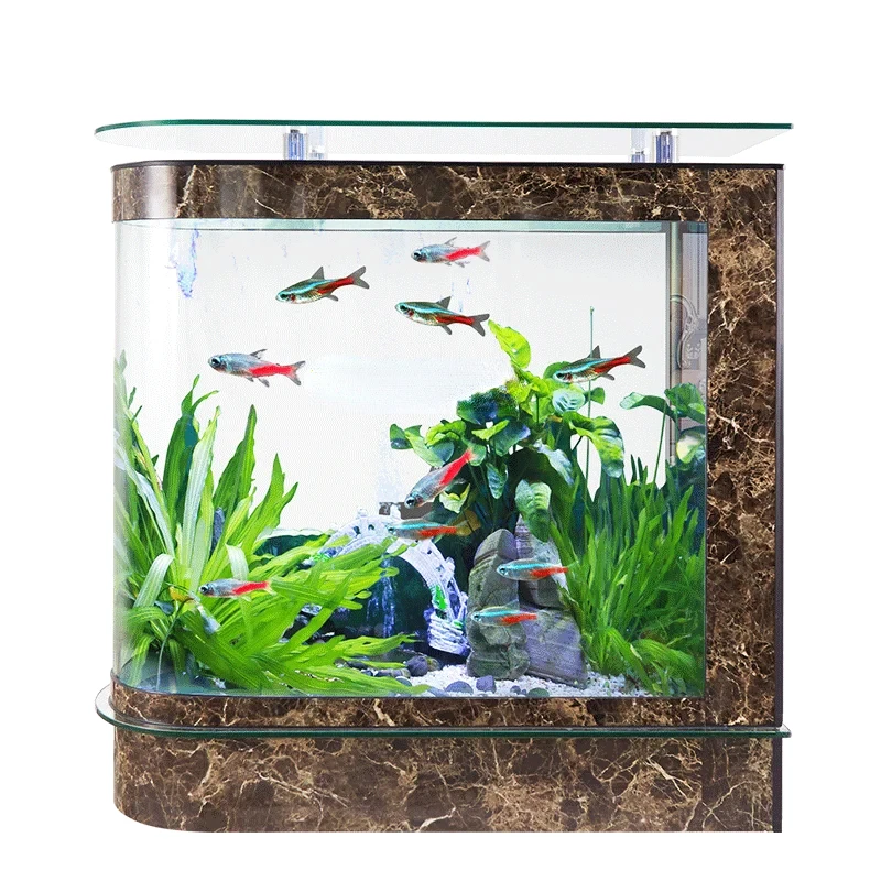 

Arc Type Glass Aquarium Partition Customizable Bottom Filter Fish Tank