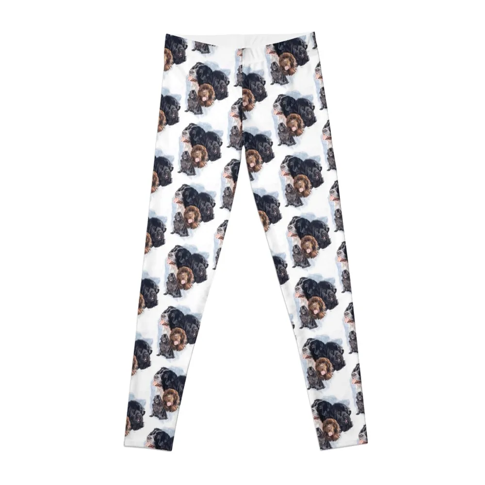 

Newfoundland Medley Leggings legings for fitness Women's sports flared sports woman gym Womens Leggings