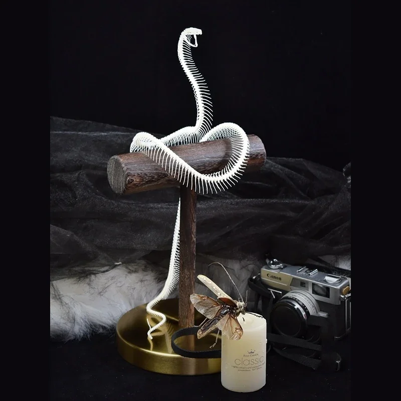 

2013 Original Elegant Snake Bone Tabletop Copper Ornaments Gothic Style Bone Specimen Decorations Birthday Gift Creativity