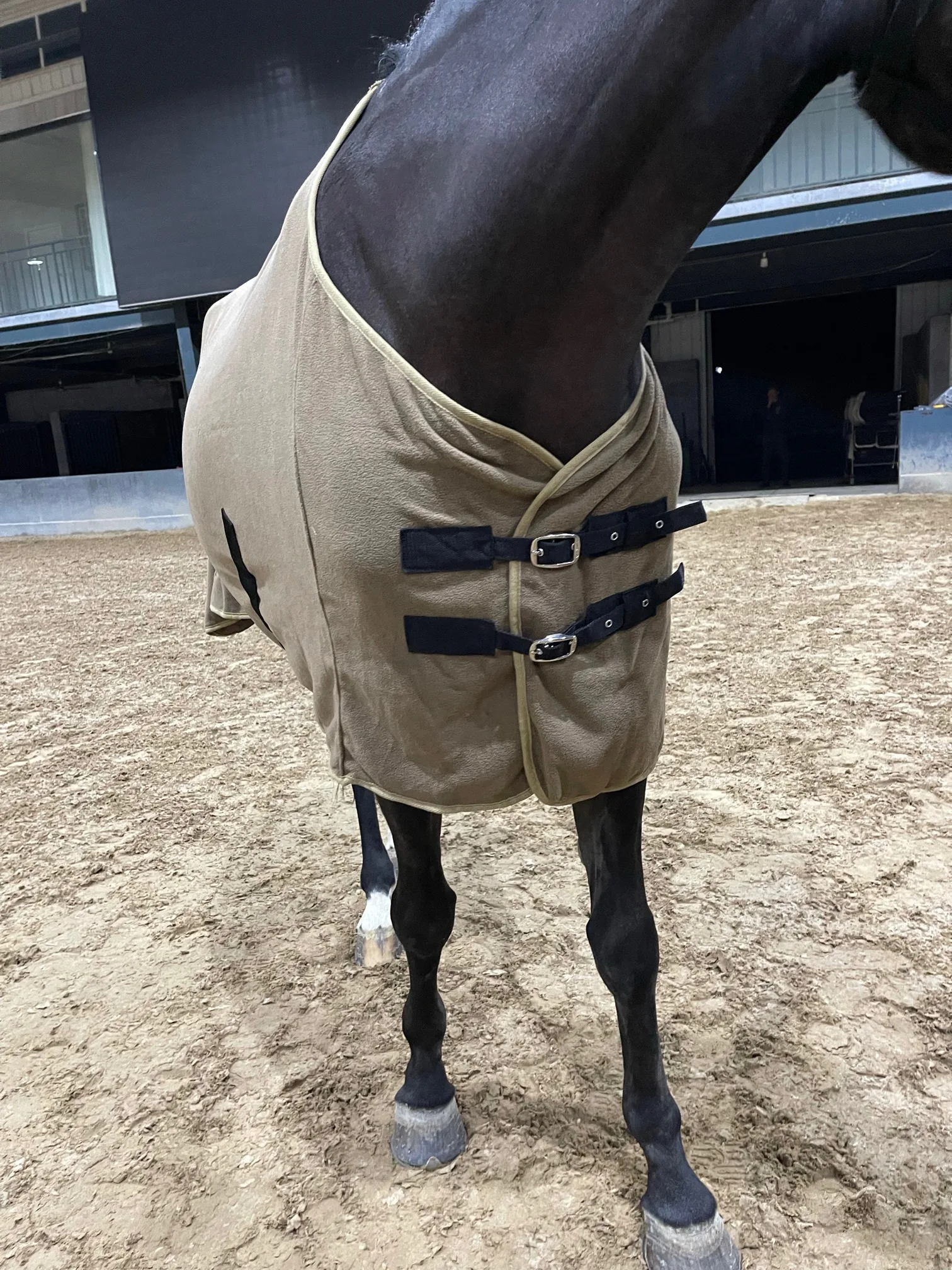 Summer Breathable Anti-mosquito Horse Covering Horse Fly Sheet
