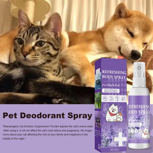 Spray Dépistolet ant pour Animaux de Compagnie, Odeur de Chien, Chats,  Nettoyage des Dents, Odeur de Fleur Fraîche, Grandes Fournitures, 100ml -  AliExpress