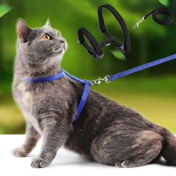 Cheap Sphynx Cat Harness and Leash Set 1