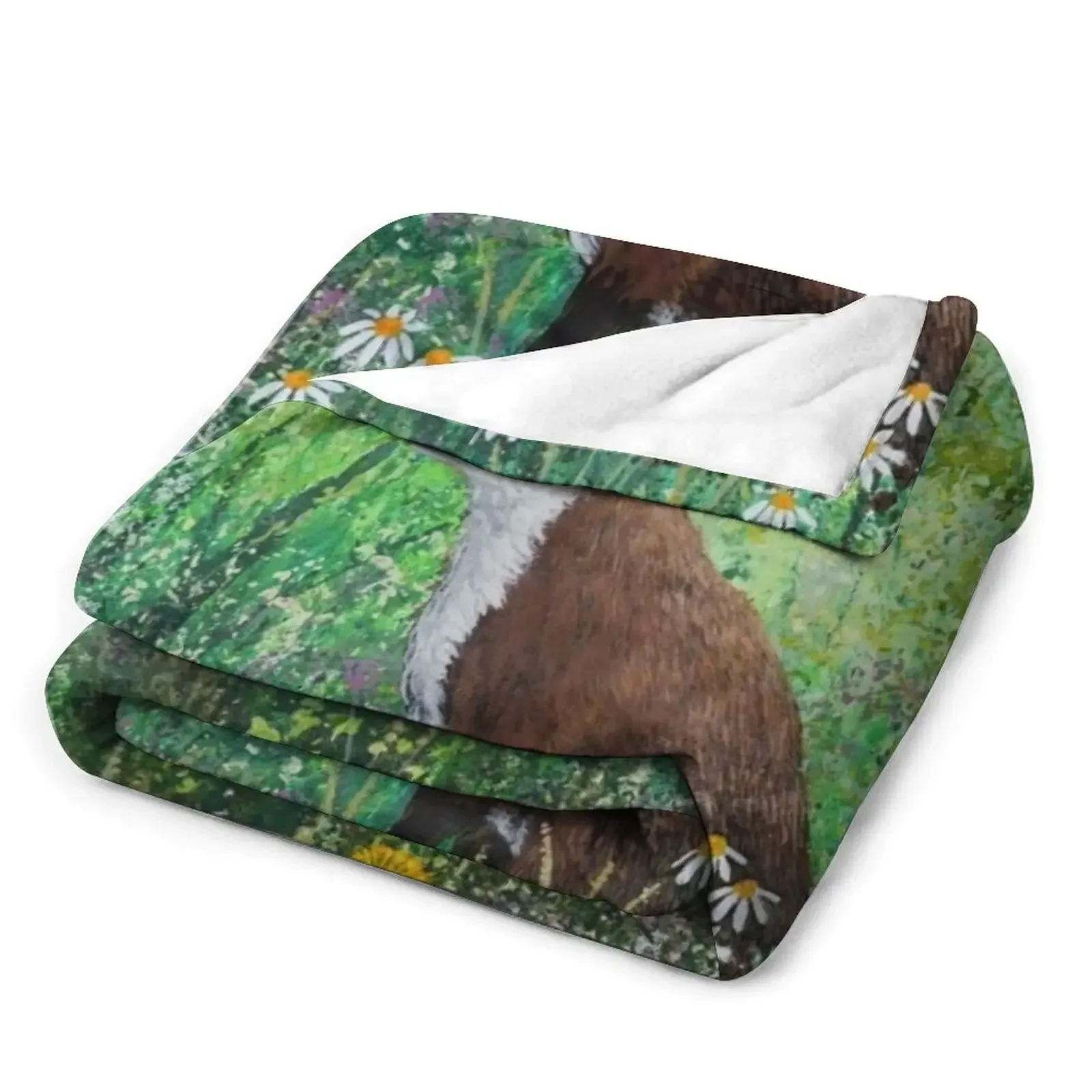 �̱� ��� ���� �ö��� ���� ���, ��ħ �޺� �Ʒ� �ɱ�