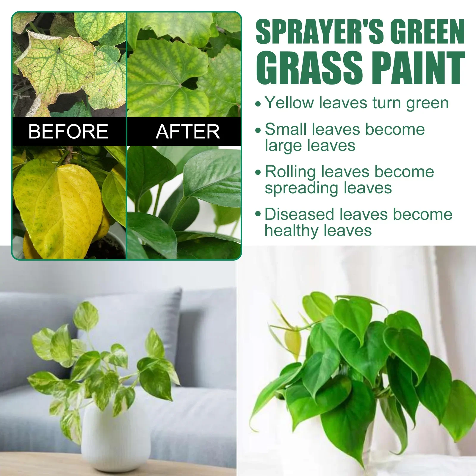 Shorten Flowering Period Plant Greening Agent Healthy Safe Plant Leaf Brightening Promote Growth Fertilizer Dust Removal