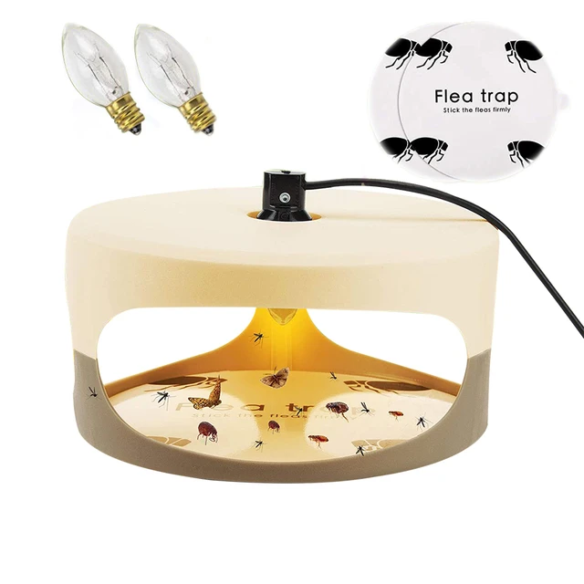 Sanitary Flea Trap Sticker Odorless Safe Indoor Lamp Catcher Effective  Non-toxic Bed Bug Trap Scientific Trapping Flea Trap - AliExpress