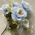 Image 16