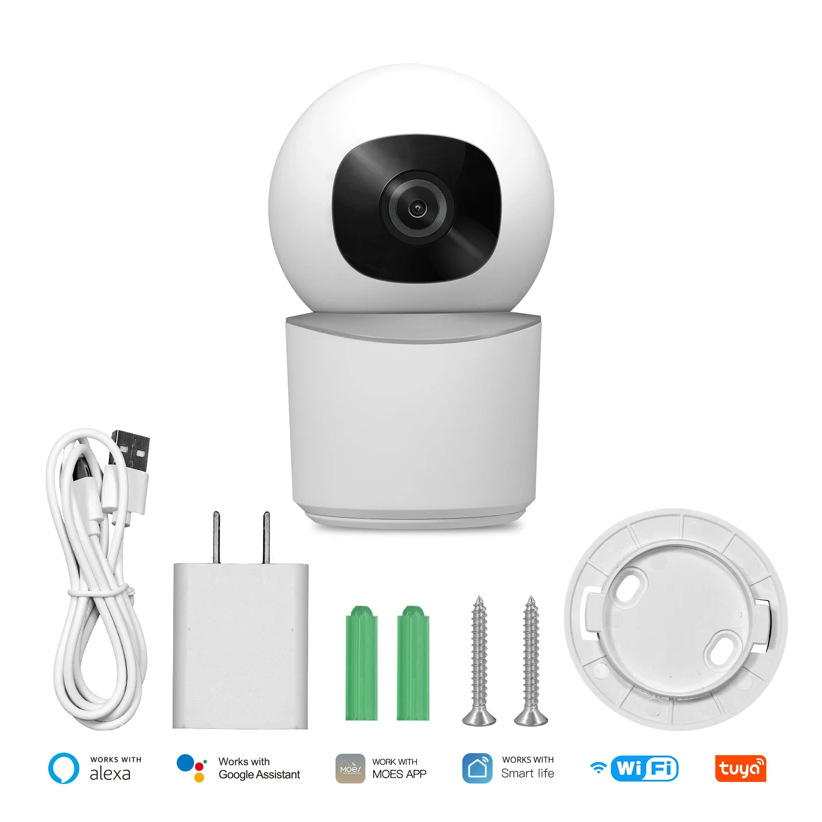 Indoor Camera