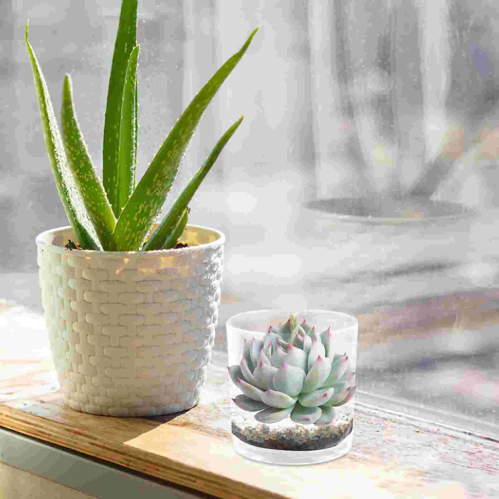 

Desktop Fish Tank Clear Aquarium Glass Flower Vase Indoor Small Kit Office Supply Transparent Betta Tanks Pots