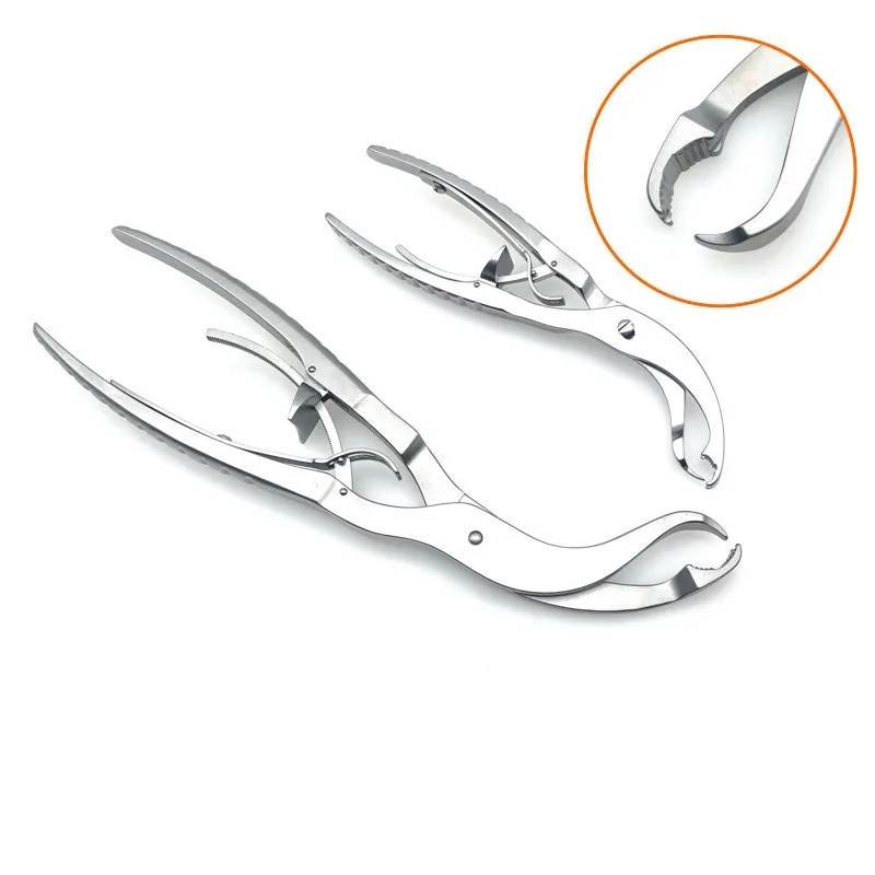 

Self-Locking Bone Holding Forcep for Upper/Lower extremity Bone Forcep Orthopedics Instruments