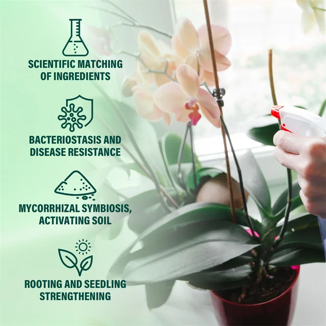 Orchidea Specifikus Tápanyagoldat Műtrágya Phalaenopsis Elősegíti Az Aktivátor Dendrobium Virág Mikrobiális Szer Szerves Műtrágyát - Image 3