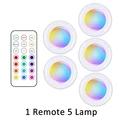 1 remote 5 lamp