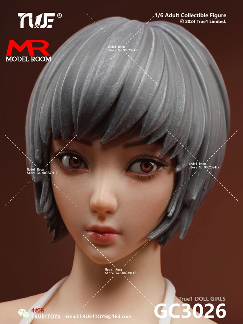 人気ブランドからコーディネートを探す 在1/売り切り/値上げ予定】DAMTOYS製 フィギュア スケール 1/6 クールガール