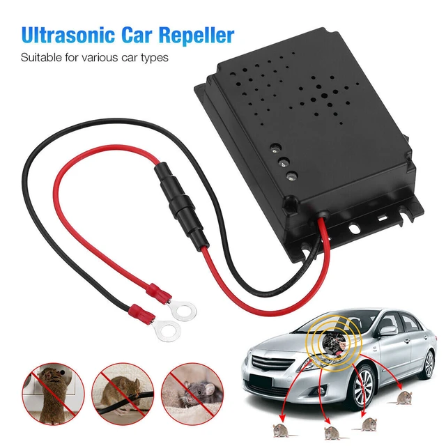 Répulsif à ultrasons Isabel 2 pour souris de voiture, 5 V, 12V, anti-rats,  insectes, araignées, répulsif antiparasitaire, 9-65KHz, zone de répulsion  de 80 mètres - AliExpress