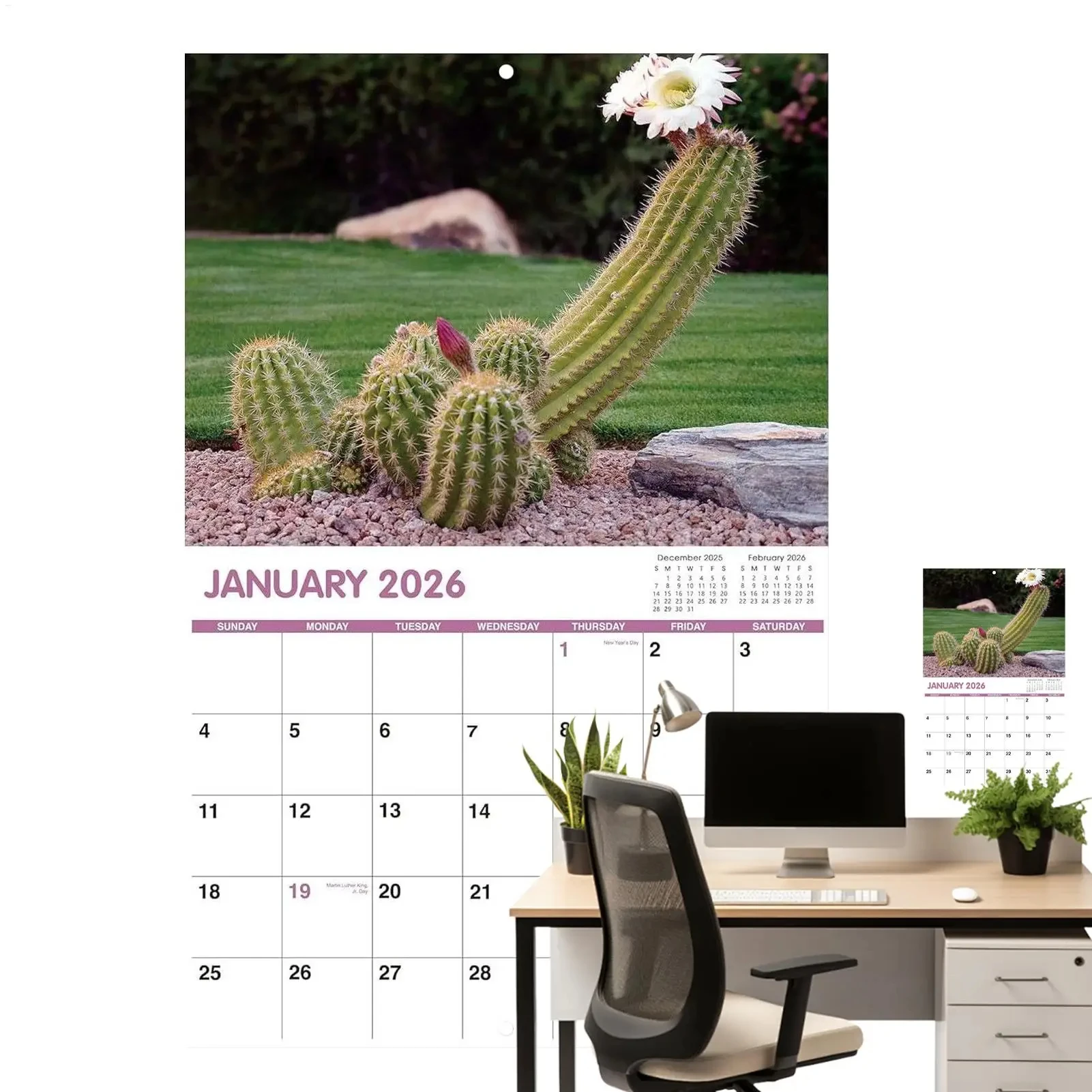 2026 Wall Calendar Funny Cactus Calendar Humorous Planner for Visual Display Scheduling Time Management Reference School