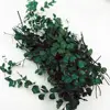 Simulation Forest Bush Cluster Model  Micro Landscape DIY Miniature Plant Creepers Leaves Military Sand Table 6
