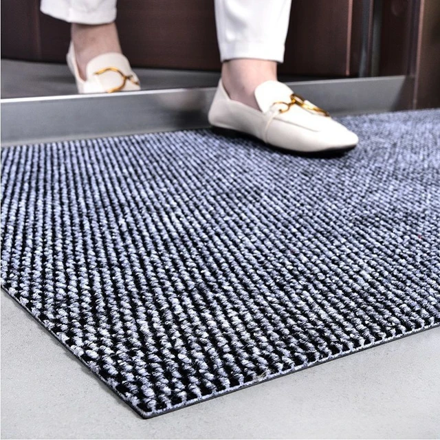 Front Door Mat Outdoor Entrance, Mud Rug Outdoor Mat for Front Door, Small  Front Entry Rug Indoor, Dirt Trapper Door Mat Indoor Entry Mat, Small