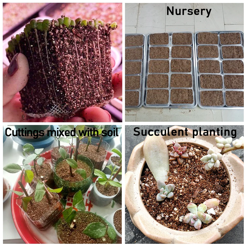 50g Vermiculite Nutrient Soil Substrate For Succulent Planting