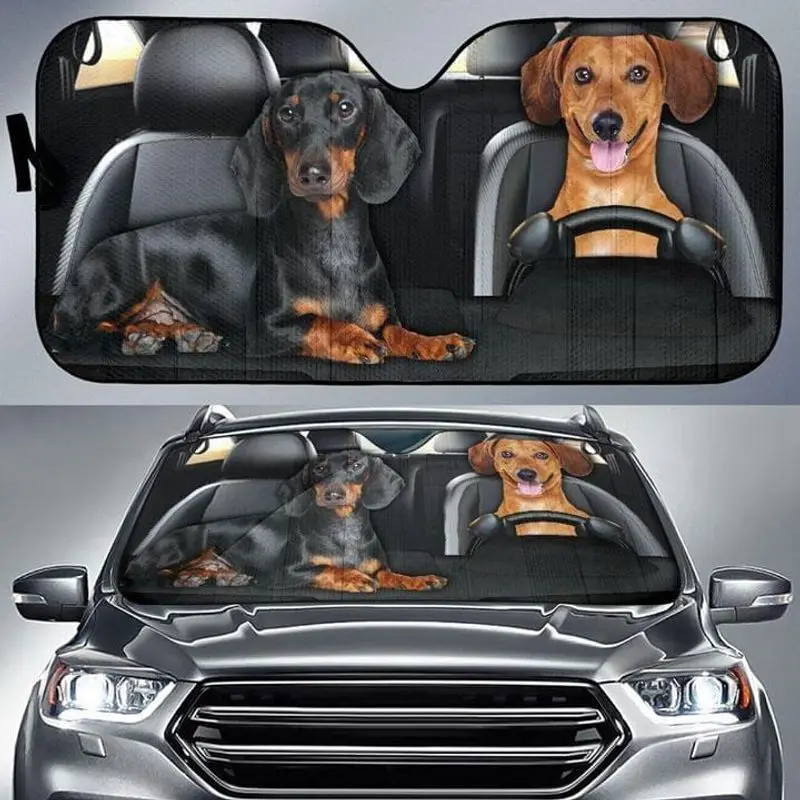 Солнцезащитный козырек для собак Greyhound солнцезащитный влюбленных автомобилей |