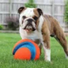 Chuckit! Kick Fetch Ball Dog Toy 4