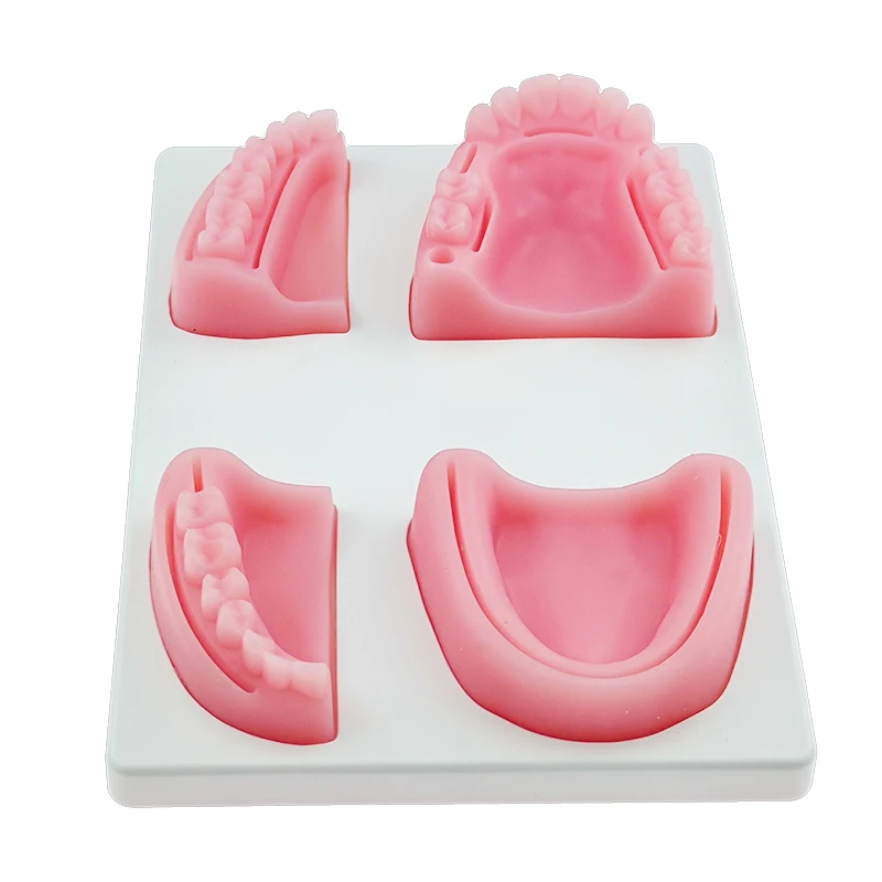 

Dental Oral/Gum suture training module silicone periodontitis suture 4 pcs/ set Oral Medicine Student Training Silicone Model