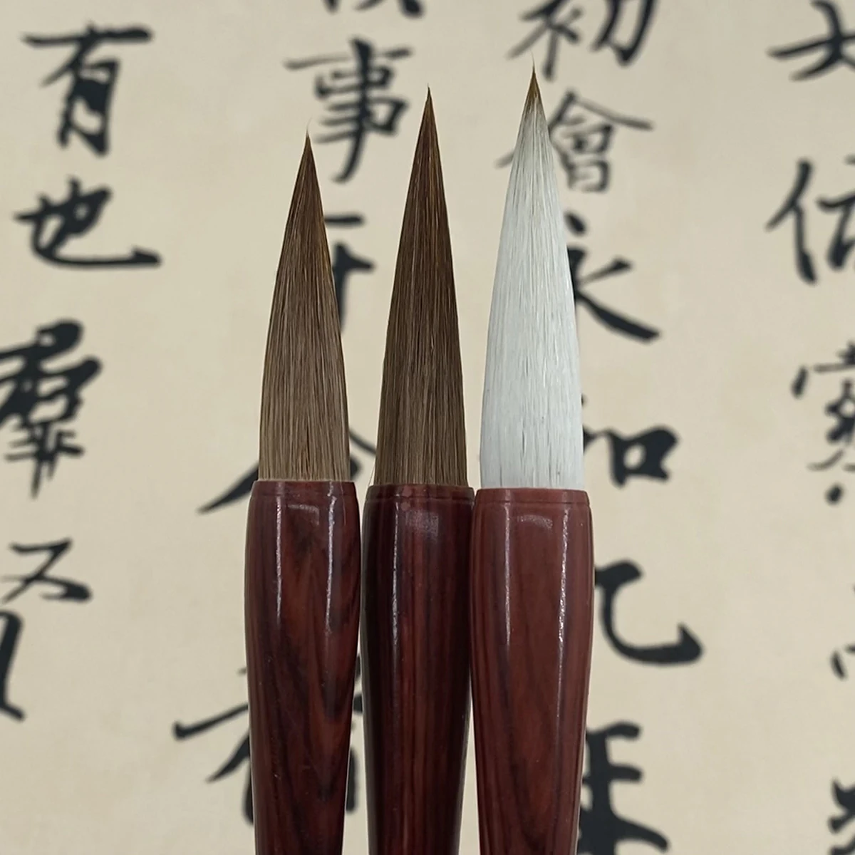 �߱� ���� ���� ������ ���� ��ǰ, ���� �귯��, ���� ��, ���� �絿�� ��, ��Ƽũ, 2 ��