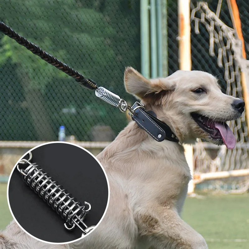 Braided Leather Dog Leash Set 4