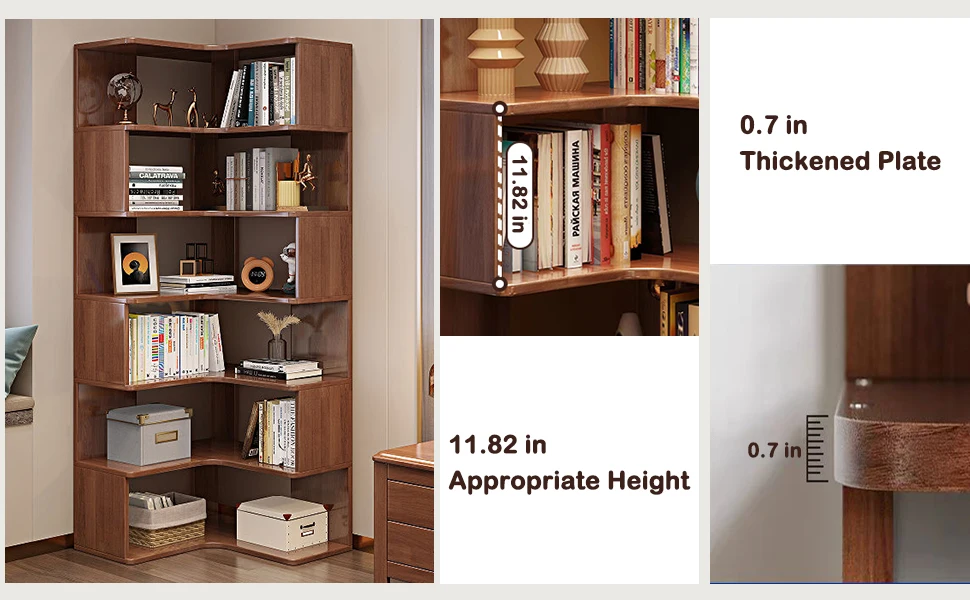 Thickened Plate book shelf