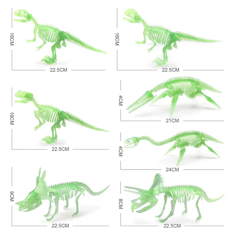 Osso de dinossauro (esqueleto) 02 / Desenho