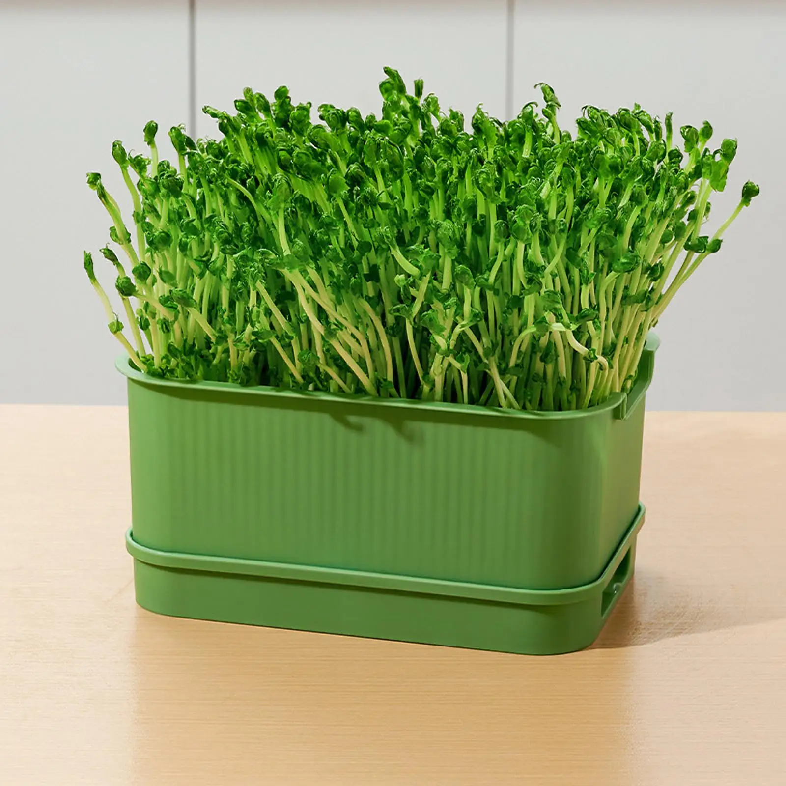 Seed Sprouts Tray Nursery Tray Saving Space Mini Greenhouse Germination Kits for Sprout Planting Container Green Growing seed starter tray seedling tray sprout growing kit