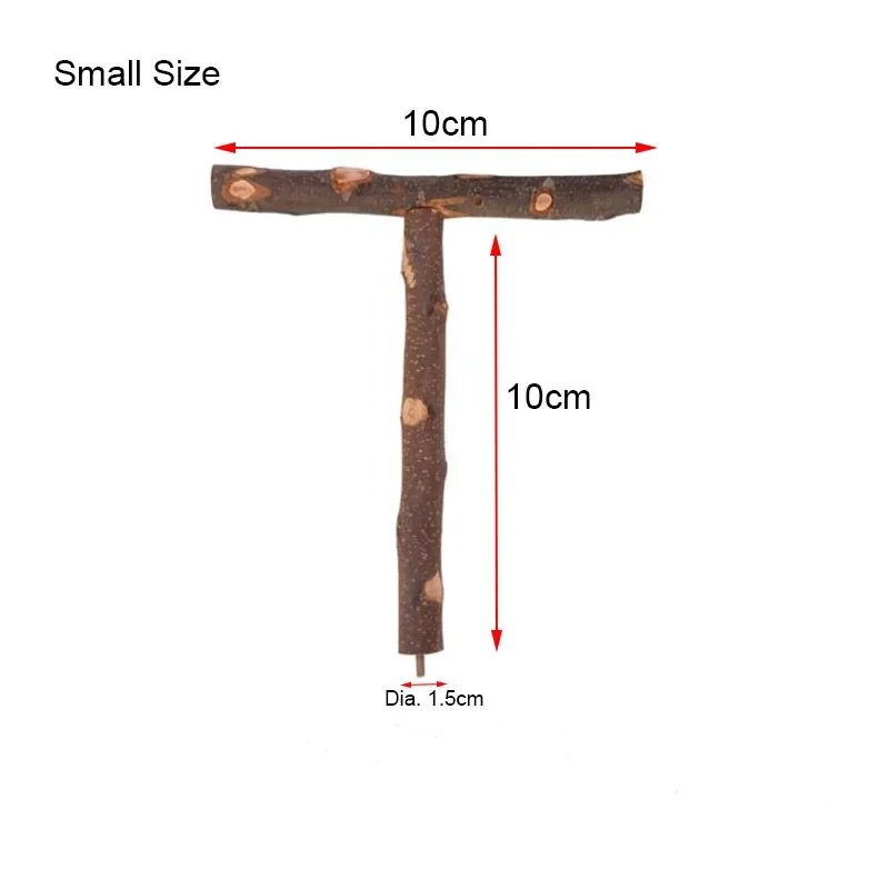10cmX10cm