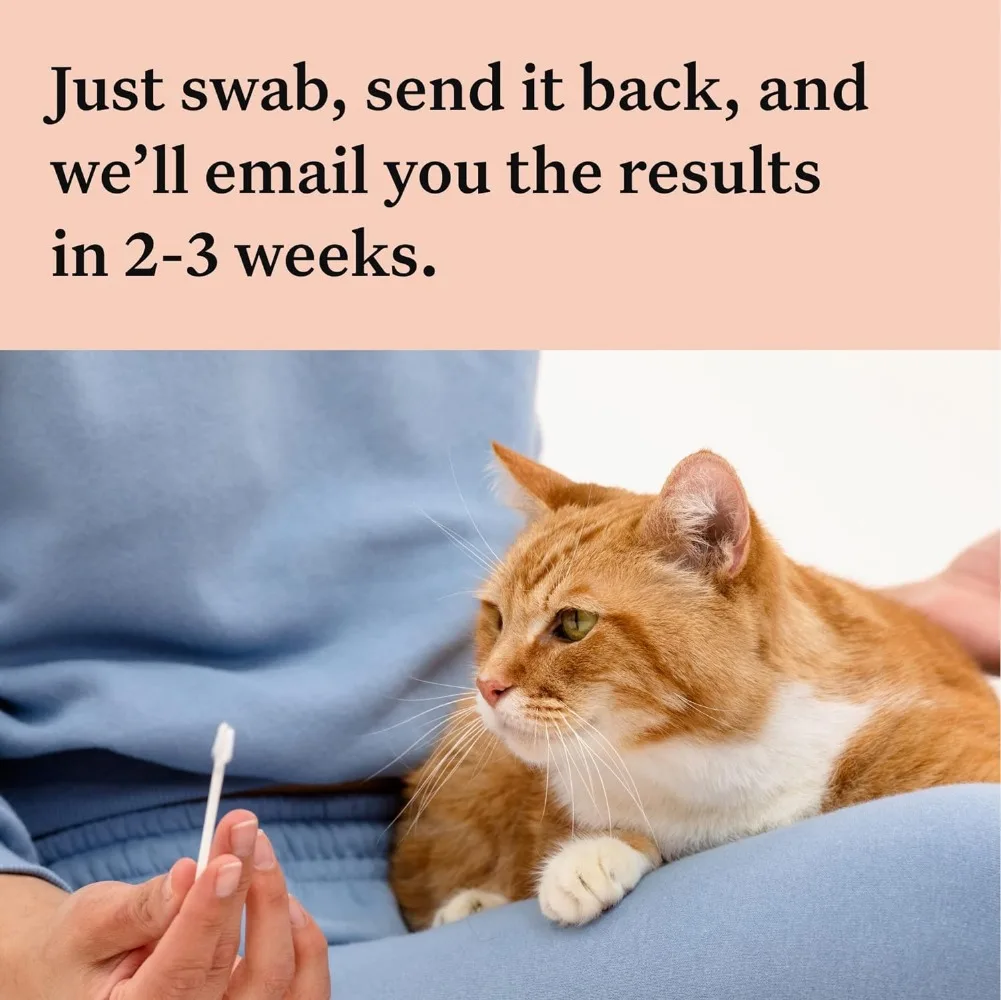 Comprehensive Cat DNA Test kit for 45 Health Genetic Health Conditions 70+ Breeds and populations 25+ Traits Blood Type 2 Pack