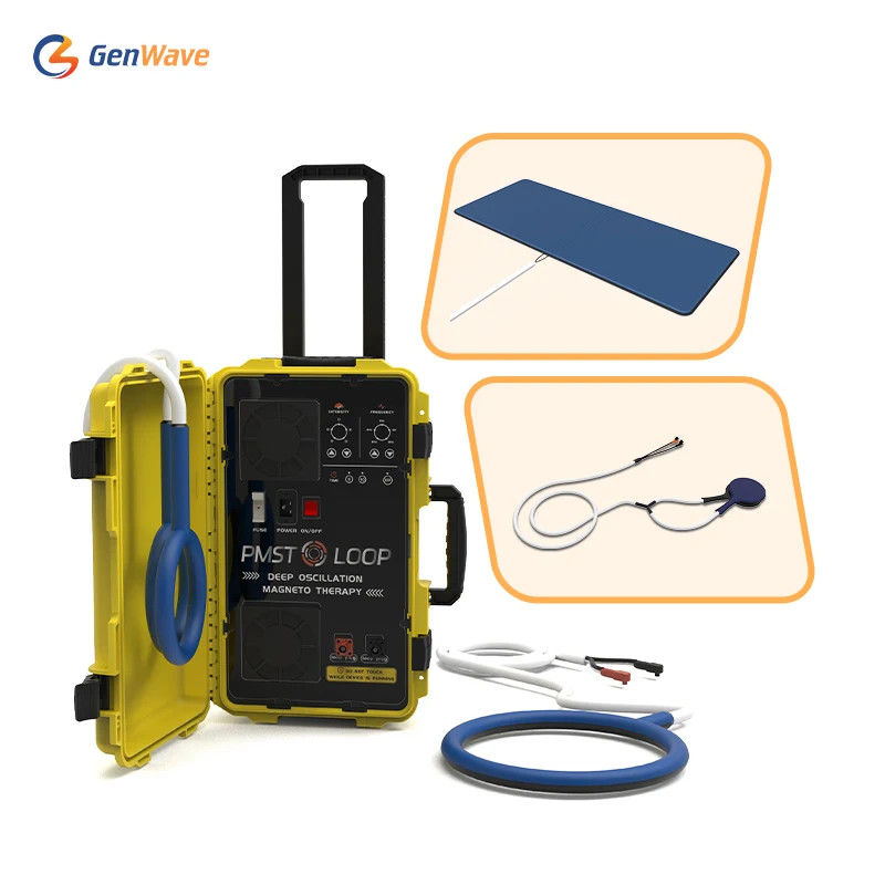 

PMST Loop pemf Magnetic Pulsed Electromagnetic Field Matrress Equipment