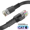 CAT 6 Flat