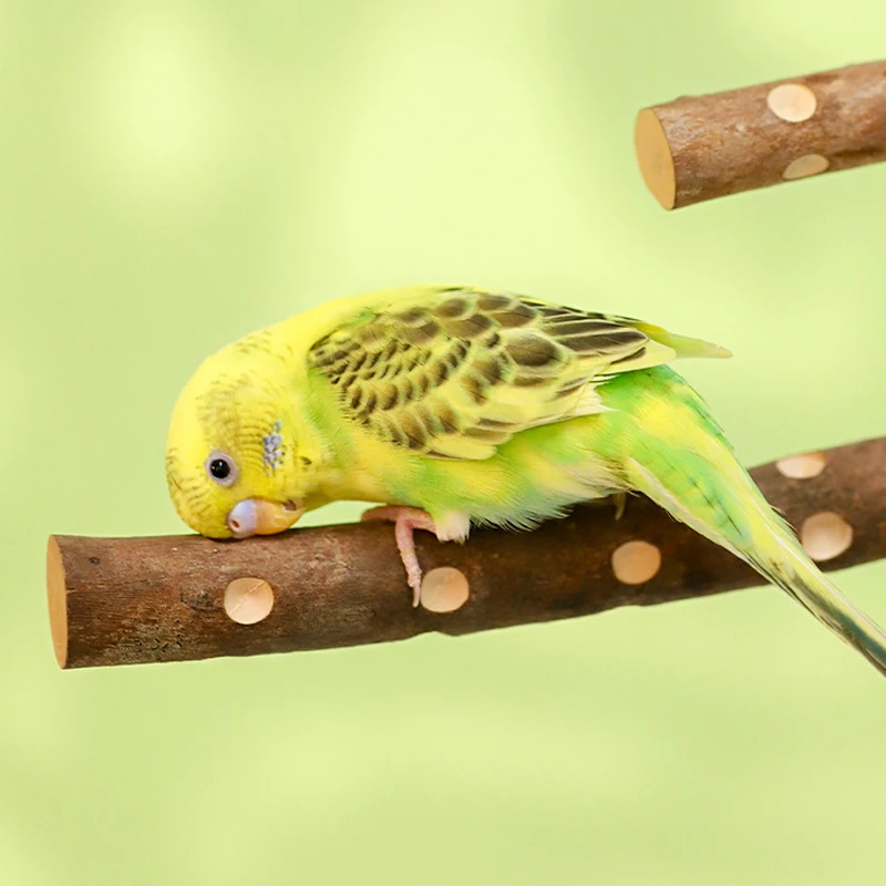 15/20/30cm Wood Bird Claw Beak Grinding Bar Standing Stick Claw Bird Supplies Cage Accessories Parrot Station Grinding Stand Toy parrot toy bird toy bird perch stand