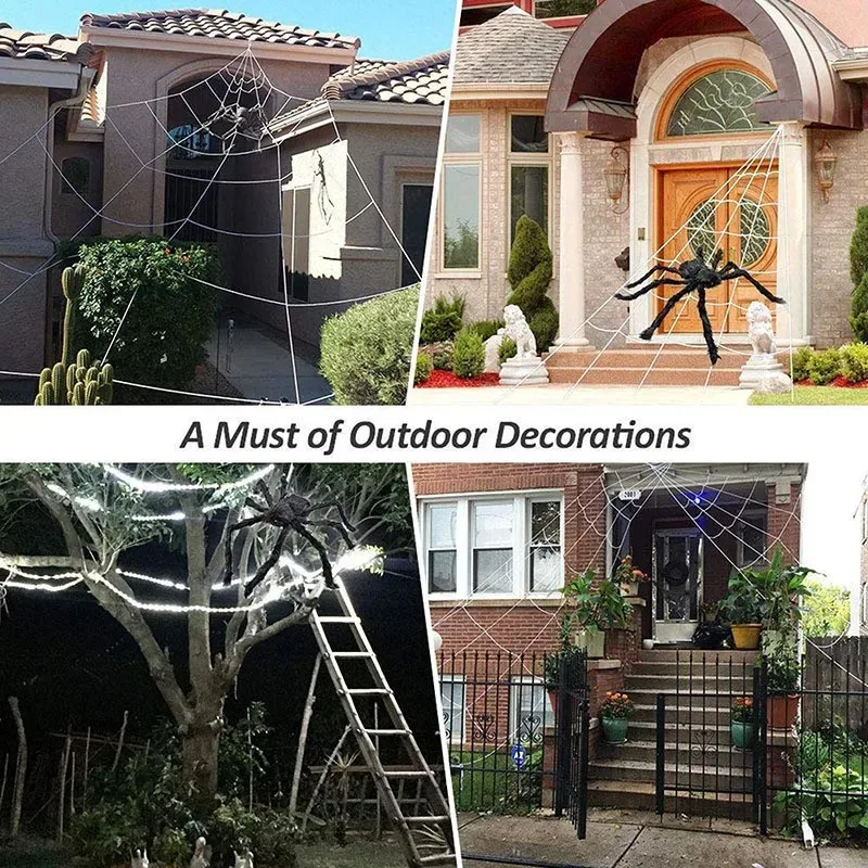 Giant Spider and Web 2