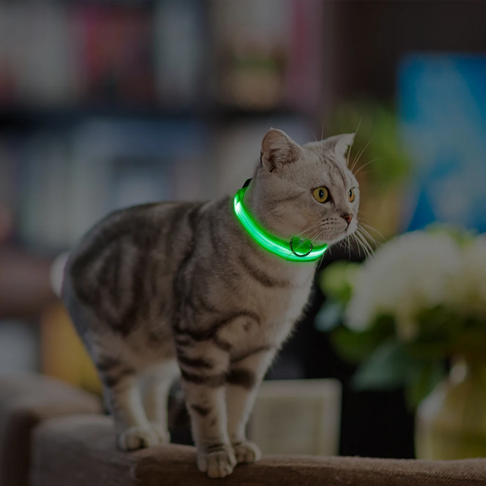 Title 6, LED Glowing Dog Collar Adjustable Flashing Rech...
