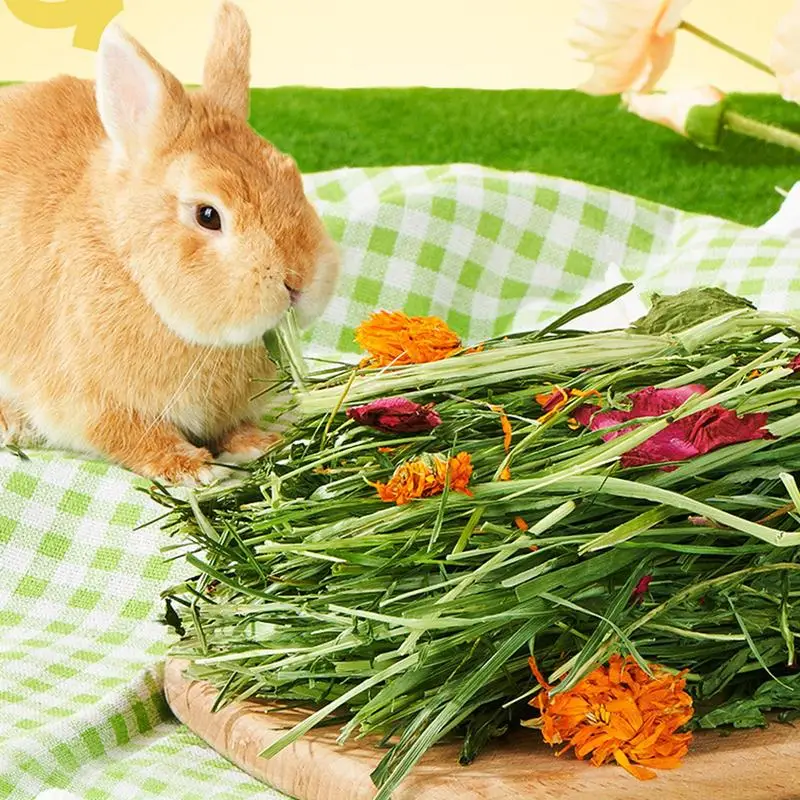 Natural Rabbit Hay Bedding for Small Pets
