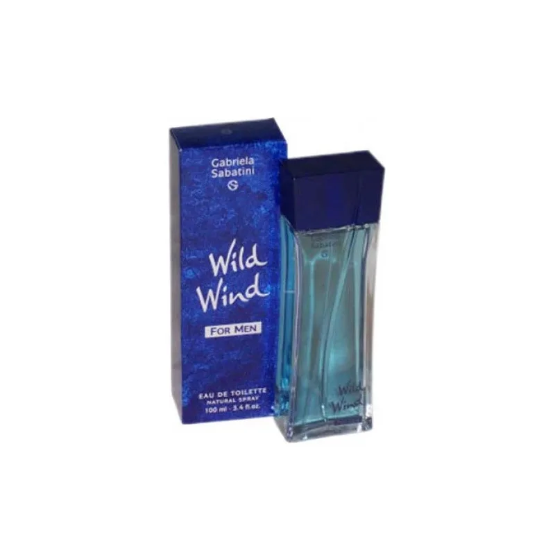 Men S Perfume Gabriela Sabatini Wild Wind Toilet Water Eau De Toilette 75 Ml Gabriela Sabatini Vayld Vind For Men Aliexpress