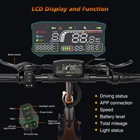 RCB Trottinette Électrique D7 Autonomie 80-110KM 500W Vitesse 25KM/H Pliable LED APP Freins Disques 10 Pouces Charge 150KG 6