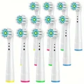 Coated Clean 12pcs