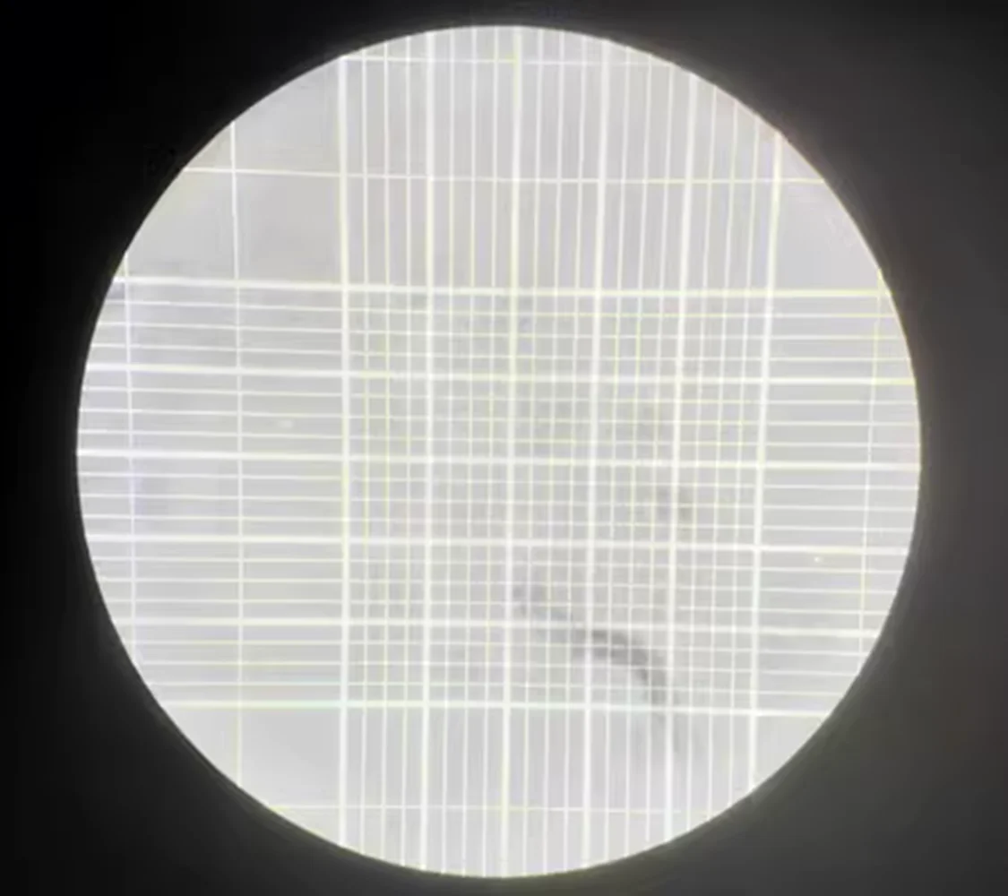 Counting Chamber Neubauer-improved Bright-Line blood cell counting chamber