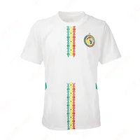 2025 Senegal National Home Jersey Outdoor Sweat Absorbent Quick Dry Soccer Jersey Summer Classic Casual Loose T-Shirt 2