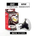 60W